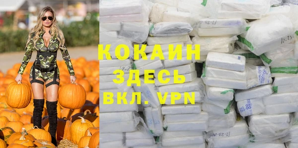 индика Иноземцево