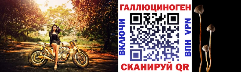 Псилоцибиновые грибы мицелий  Судак 